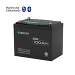 Renogy 12V 100Ah Trolling Motor Lithium Iron Phosphate Battery with Bluetooth