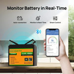 ECO-WORTHY 12V 100Ah LiFePO4 Battery With Bluetooth And Low-Temperature Protection