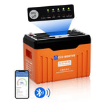 ECO-WORTHY 12V 300AH Lifepo4 Lithium Battery Bluetooth With SOC LEDs And Low Temp Protection