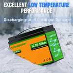 ECO-WORTHY 12V 50Ah Lithium Iron Phosphate Battery