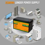 ECO-WORTHY 24V 100Ah Lithium Iron Phosphate Battery