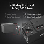 Pecron WB12200 Lithium 12V 200Ah Deep Cycle LiFePO4 Battery