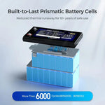 Renogy 48V 50Ah Smart Lithium Iron Phosphate Battery with Self-heating + Battery Monitor