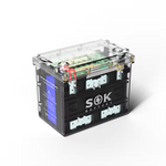 SOK Battery 12V 100Ah LiFePO4 Battery Bluetooth With Clear Sealed Box