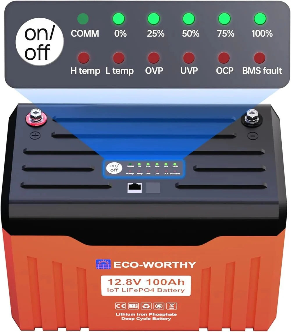 ECO-WORTHY 12V 100AH Lithium Battery with Battery Status Display and 100A BMS with Low-Temp Protection