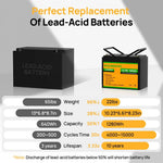 ECO-WORTHY 12V 100Ah Lithium Iron Phosphate Battery