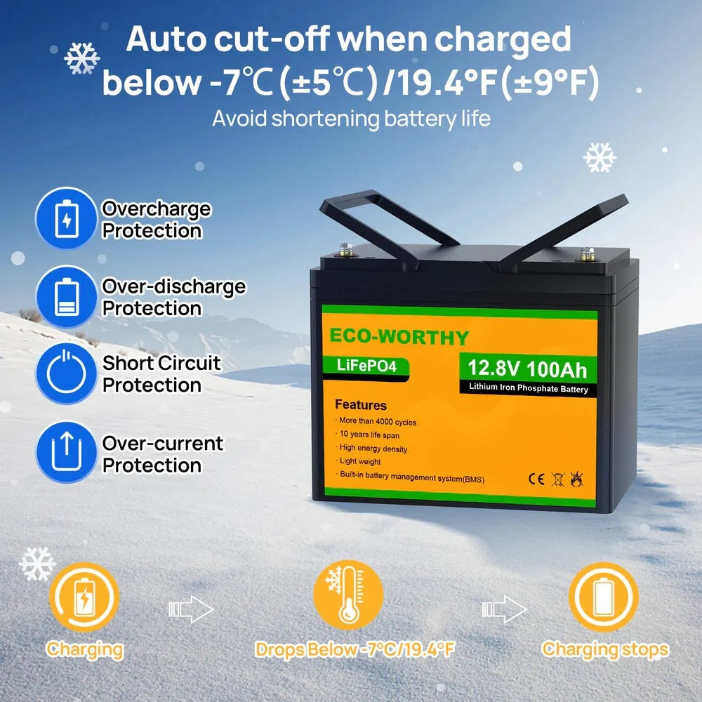 ECO-WORTHY 12V 100Ah Lithium Iron Phosphate Battery
