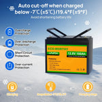 ECO-WORTHY 12V 100Ah Lithium Iron Phosphate Battery