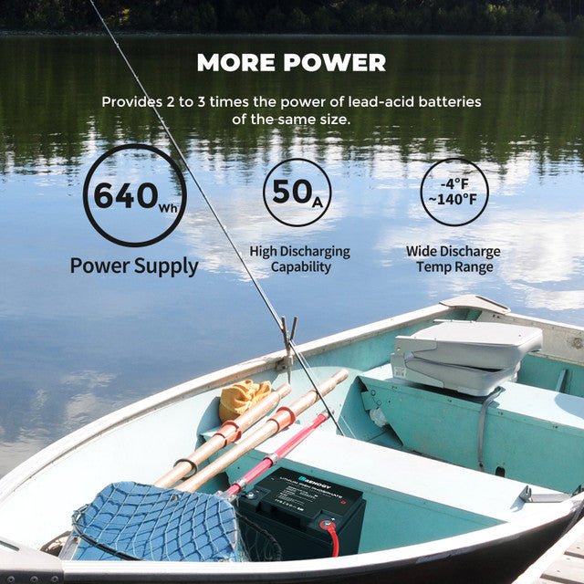 Renogy 12 Volt 50 Ah Lithium Iron Phosphate Battery