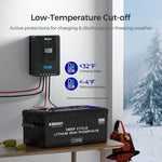 Renogy Core 24V 100Ah Deep Cycle Lithium Iron Phosphate Battery with 24V Battery Charger