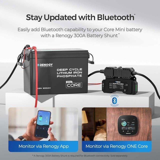 Renogy Core Mini 12.8V 200Ah LiFePO4 Battery w/ Low-Temperature Protection