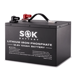 SOK Battery 12V 100Ah LiFePO4 Battery With Bluetooth & Built-in Heater